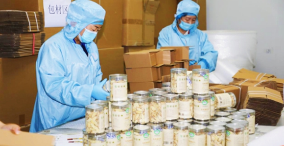 陕西持续推动中医药产业提质增效