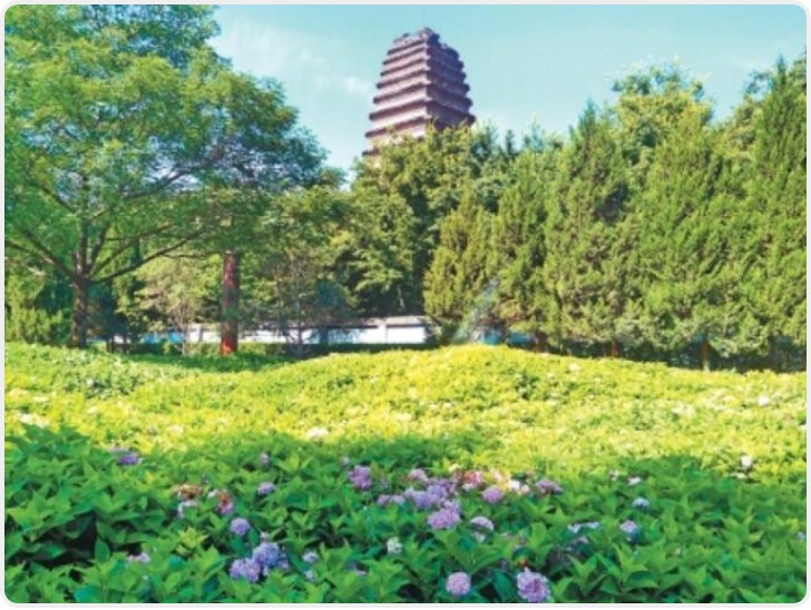 蓝天白云“无尽夏”　古城美景入画来