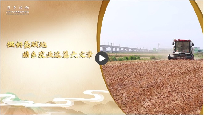 360截图20260615082743573.jpg