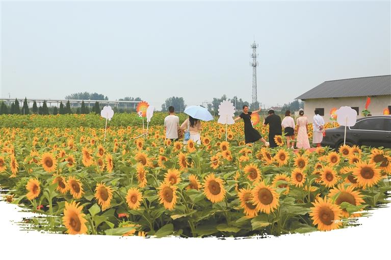 “赏花经济”激发农文旅消费新活力