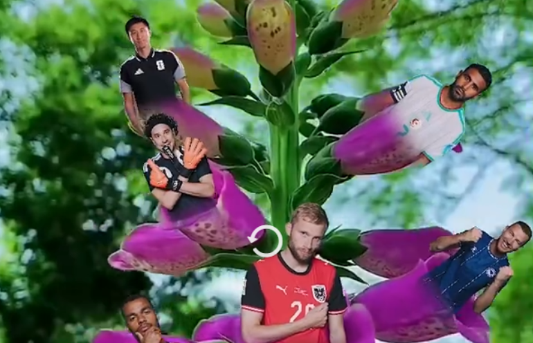 国际足联为何也玩起了“花开富贵”