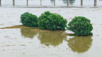 应急部：主汛期北方地区预测降雨偏多、洪涝灾害风险较大