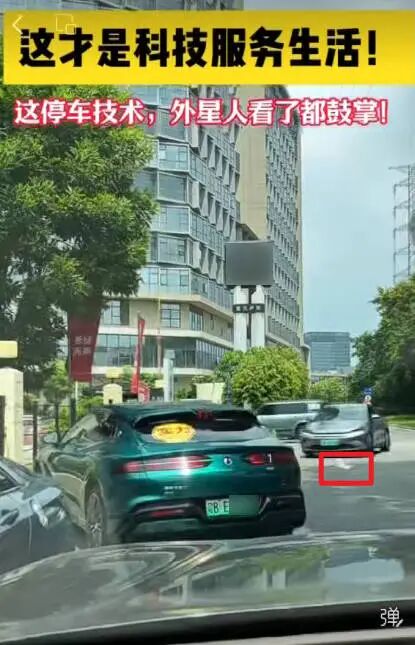 车辆逆行 视频截图.jpg