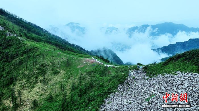 夏日秦岭：满目苍翠入画来