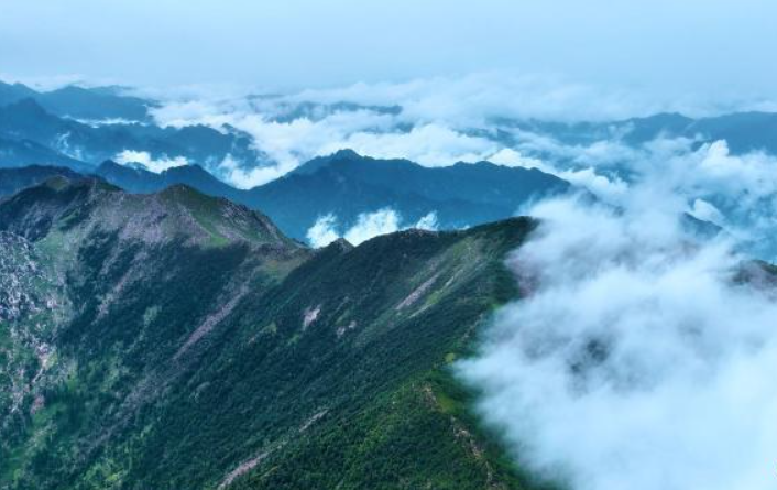 夏日秦岭：满目苍翠入画来