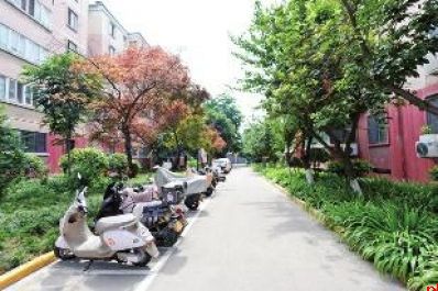 实践者的建议和思考