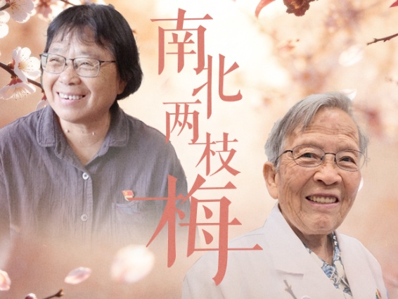 南北两枝梅 共唱红梅赞