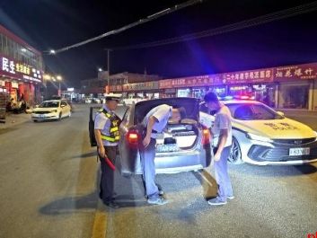 榆林硬核护航乡村振兴路