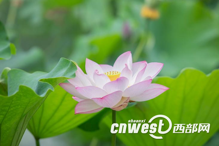 正在上传... 93333c67871e3785501b08ebe3431398.png