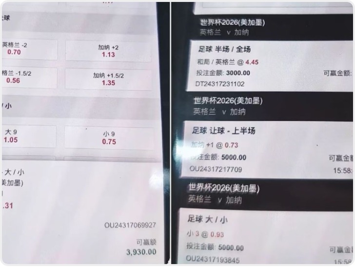 世界杯以来多地破获网络赌球案 两团伙涉案资金流水超百万元