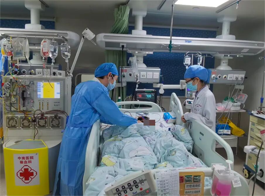因轻信AI识别结果一家三口误食剧毒蘑菇 9岁男孩生死抢救8天
