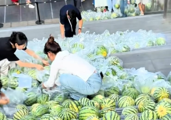 郑州一商场从开封瓜农购入10多吨西瓜爱心助农免费送