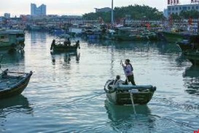 赶海