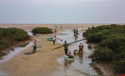 赶海
