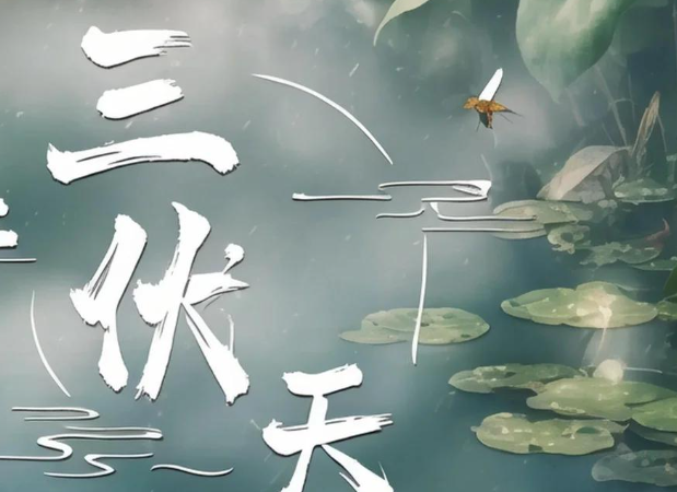 明日入伏 伏天时长40天 比去年多10天 听专家道缘由