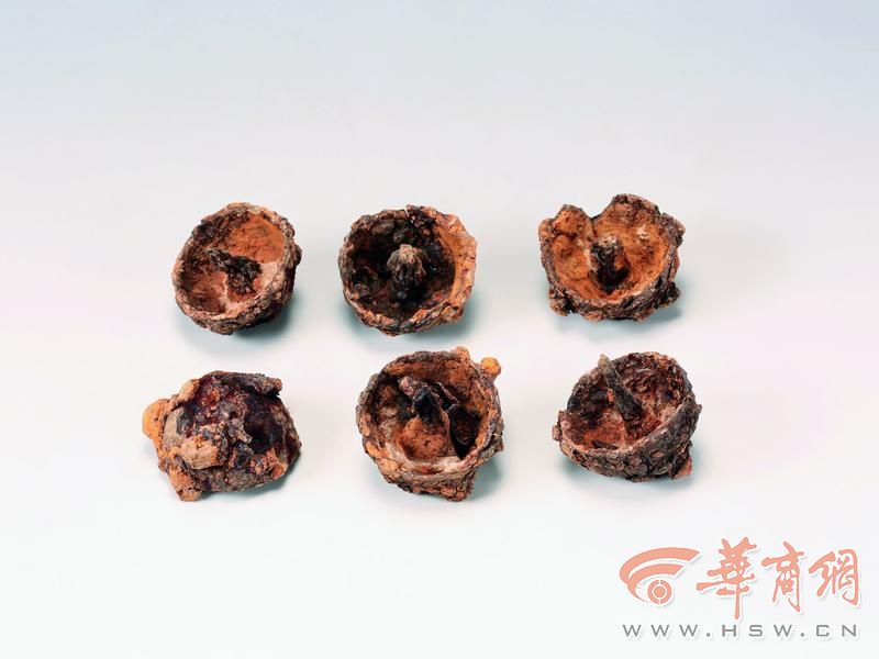 图四十五:1_铁泡钉M8036∶114.jpg