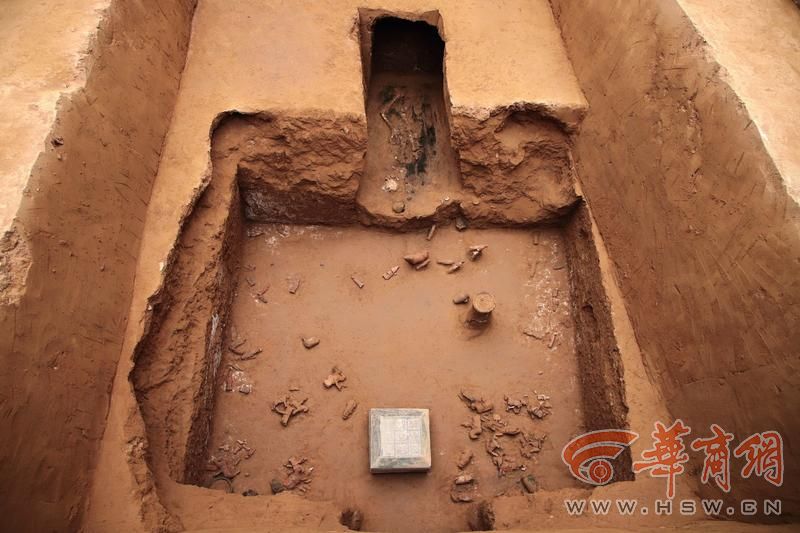图六:1_M8036墓室.jpg