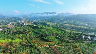 鎏金铜蚕出土地 石泉