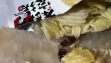 茶颜悦色薯片吃出蟑螂干 品牌方已与消费者达成和解