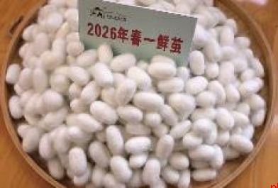 鎏金铜蚕出土地 石泉