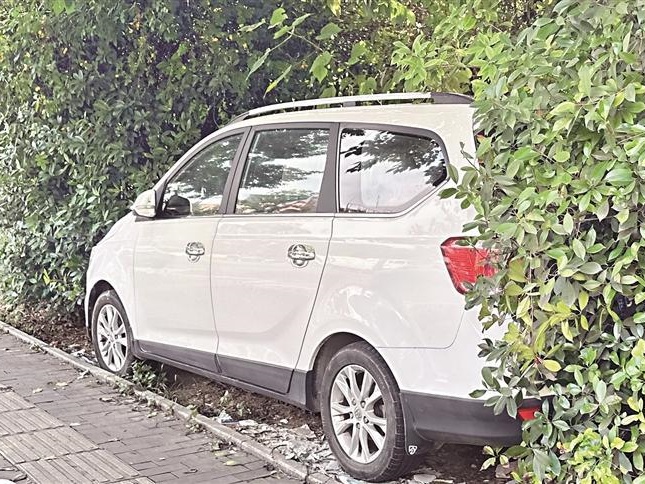 “后台溯源+限期整改” 路边停放的“僵尸车”清理了