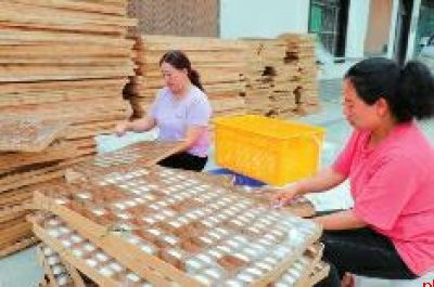 鎏金铜蚕出土地 石泉