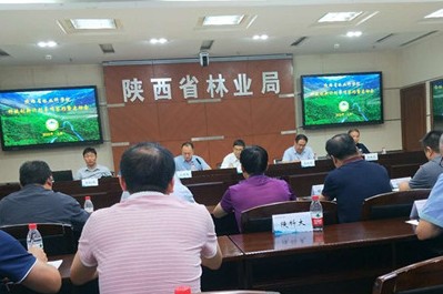 陕西高质效推进“三北”工程建设