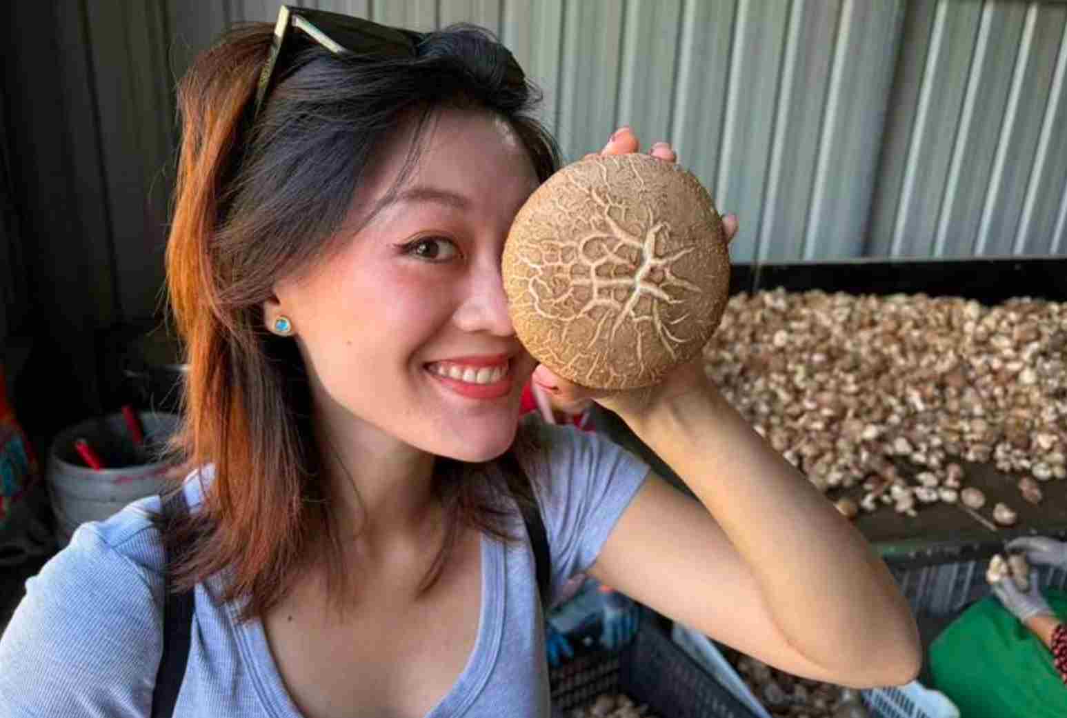 感知幸福中国陕西行|鲜香菇还分等级 你知道吗？媒体和大V现场学习蘑菇分拣
