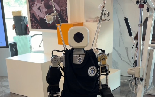 数字丝路联动沿线技术加速机器人产品发展