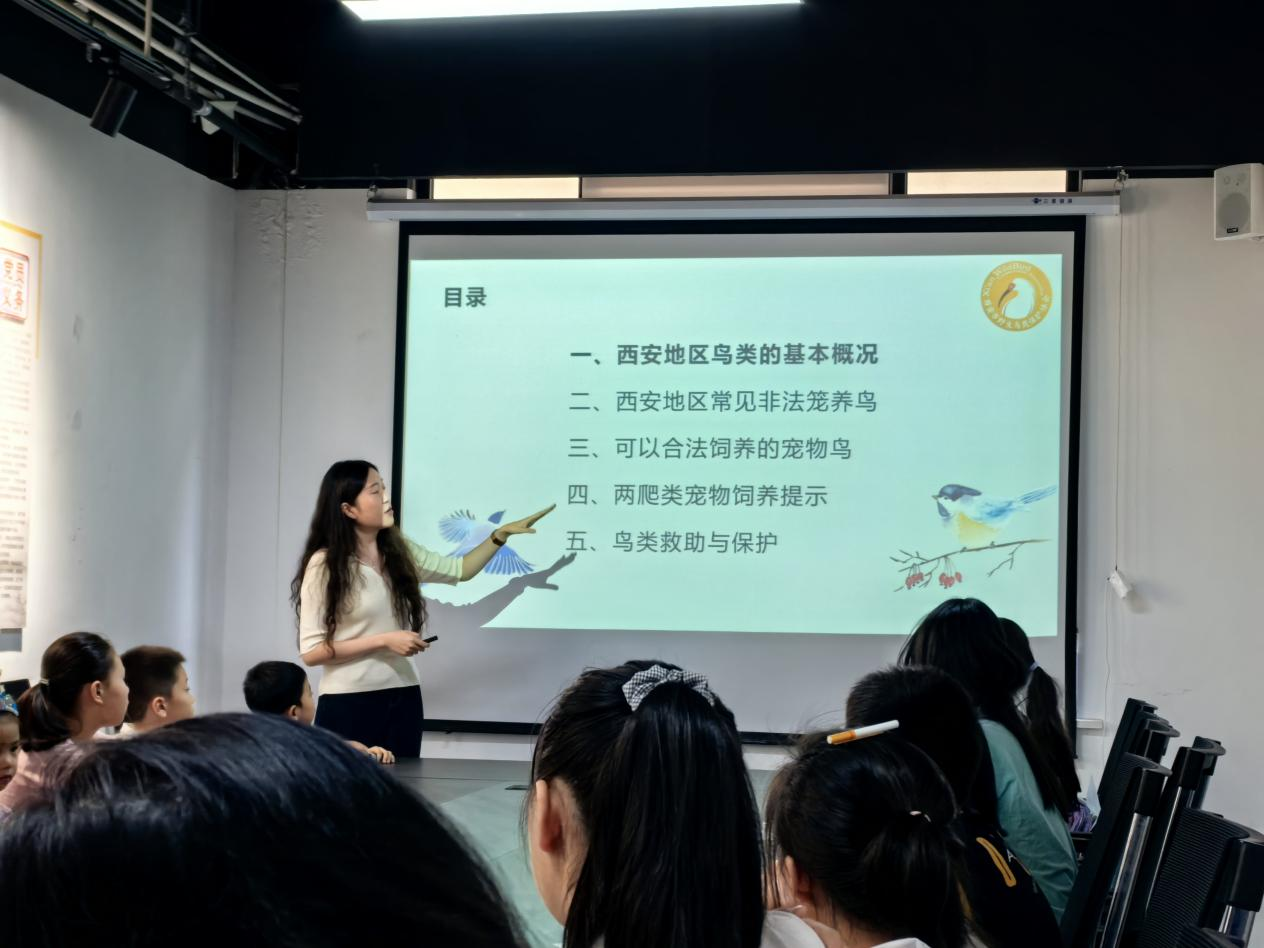图片 3.png