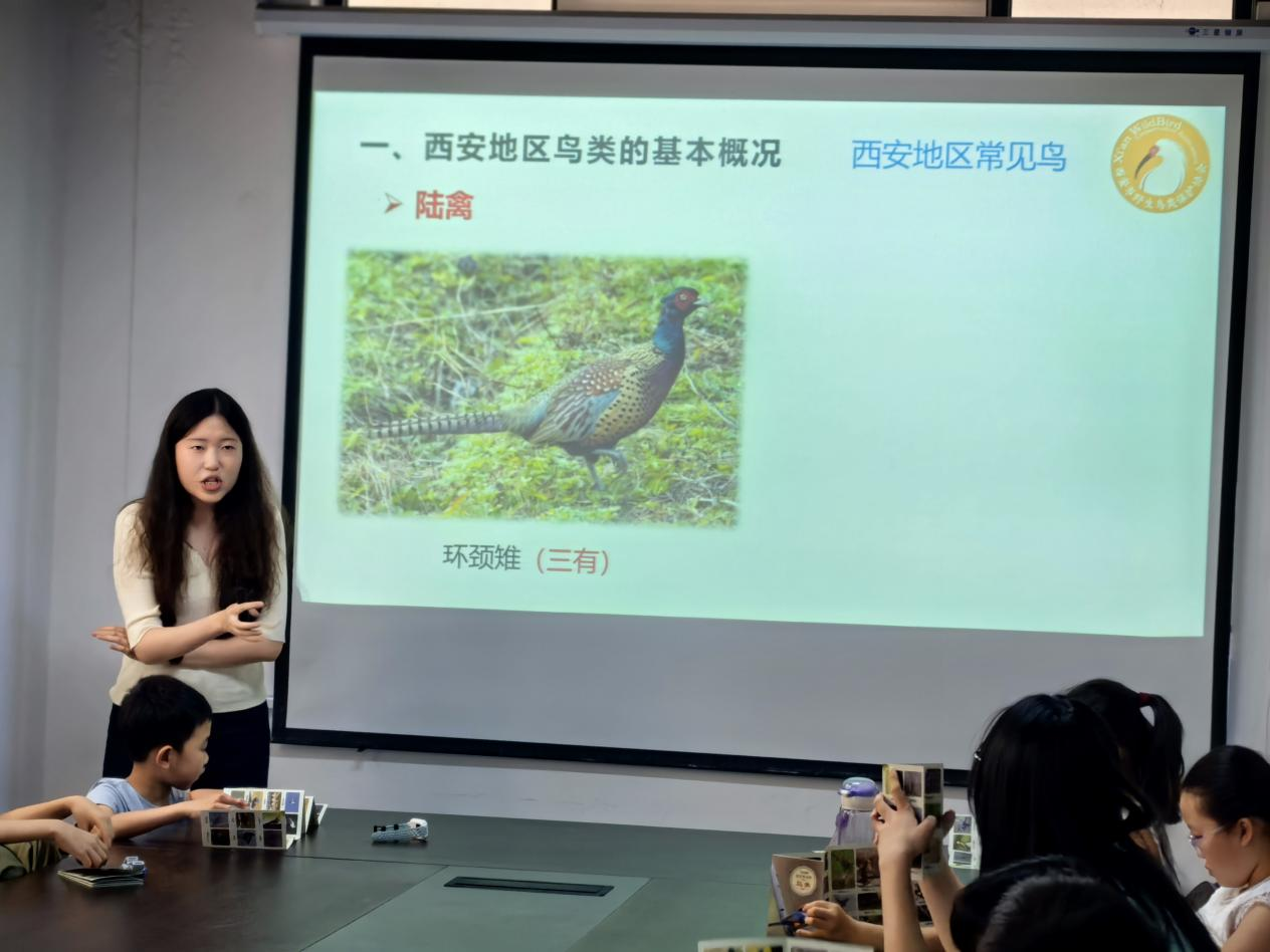 图片 2.png