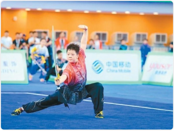 陕西省十八运会青少年组武术套路比赛落幕 西安斩获11金9银8铜