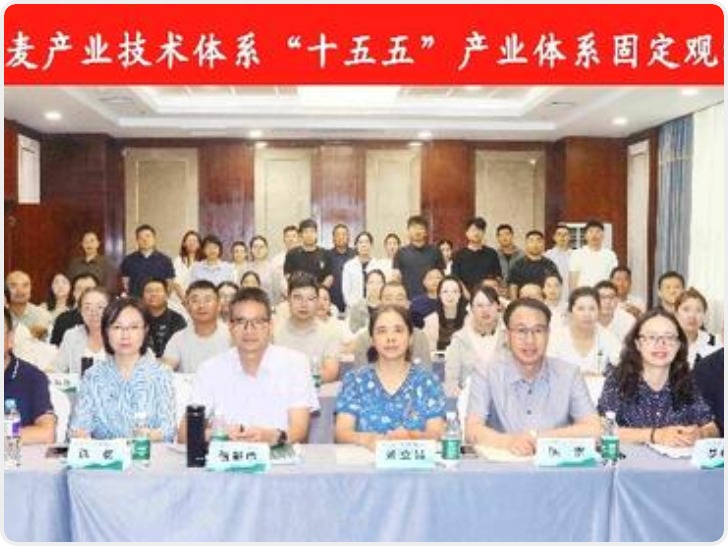 国家燕麦荞麦产业技术体系“十五五”固定观测点建设会议在陕西杨凌召开