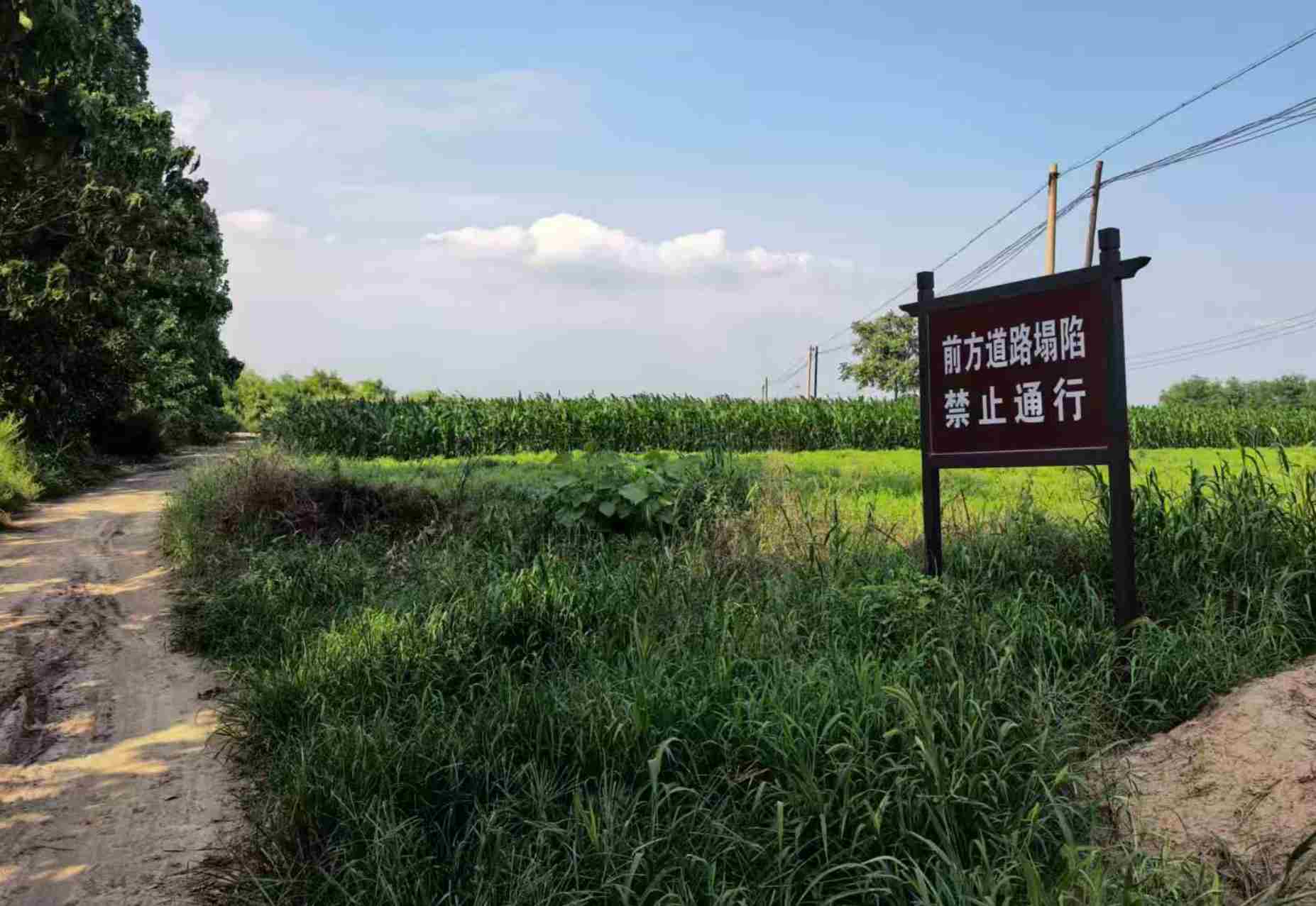 山西运城一路面塌陷处现大量白骨 系玉壁之战遗骸
