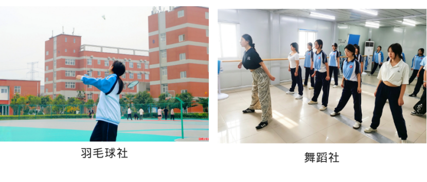 8GHuhu3iw8l8eEed.png image.png