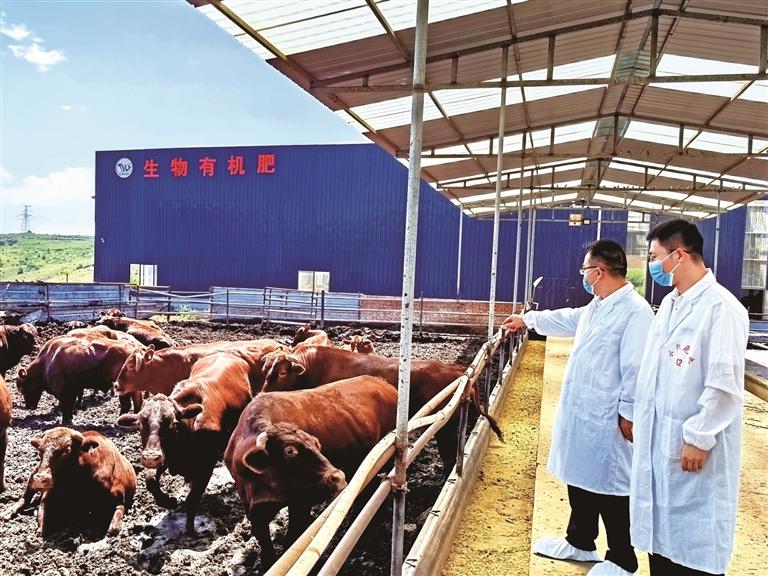 增长2.8倍！榆林上半年外贸增速领跑全省