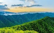 绿水青山迸发新活力