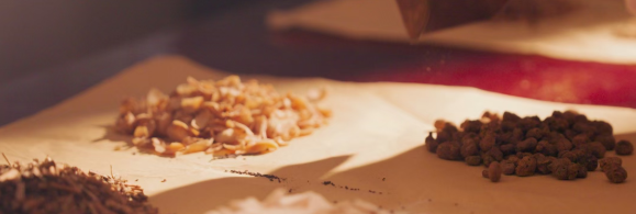 QSp8Zv0oABZkJGwI.png image.png