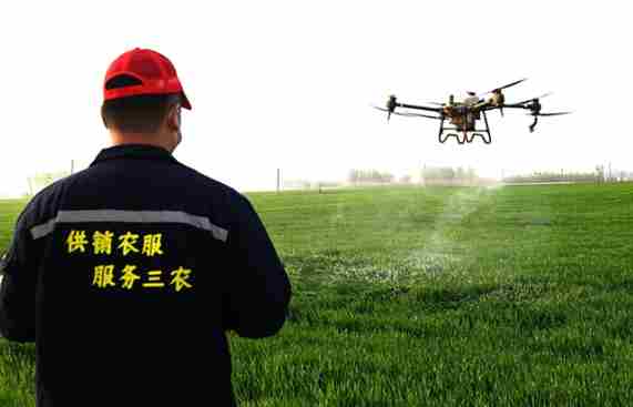 五年规划发布 全国供销合作社将全面升级为农服务