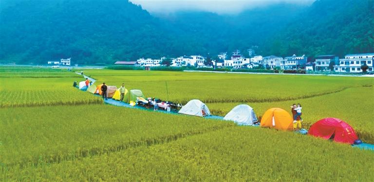 “抱团发展”蹚出共富新路