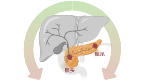 ni5YH671m54JofAX.png image.png