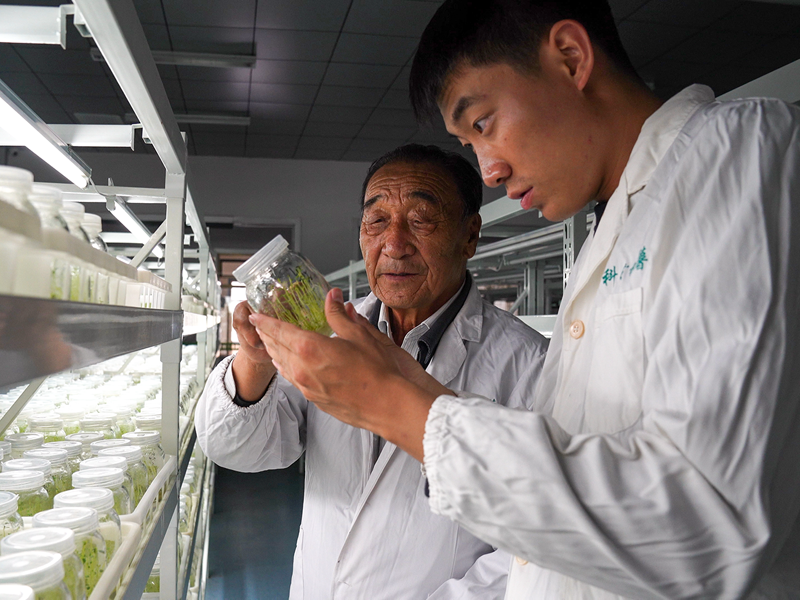 石健阳（右一）和祖父石光银在无毒马铃薯繁育中心查看马铃薯繁育原种情况。（受访者供图）