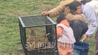 甘孜：督促各景区安排人员现场劝阻游客近距离接触土拨鼠