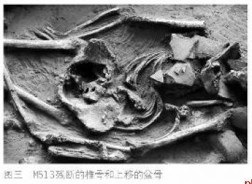 杨官寨遗址割体葬揭秘
