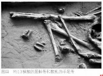 杨官寨遗址割体葬揭秘