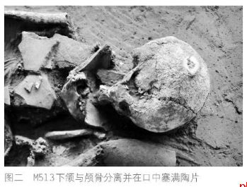 杨官寨遗址割体葬揭秘