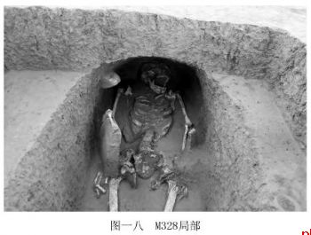 杨官寨遗址割体葬揭秘