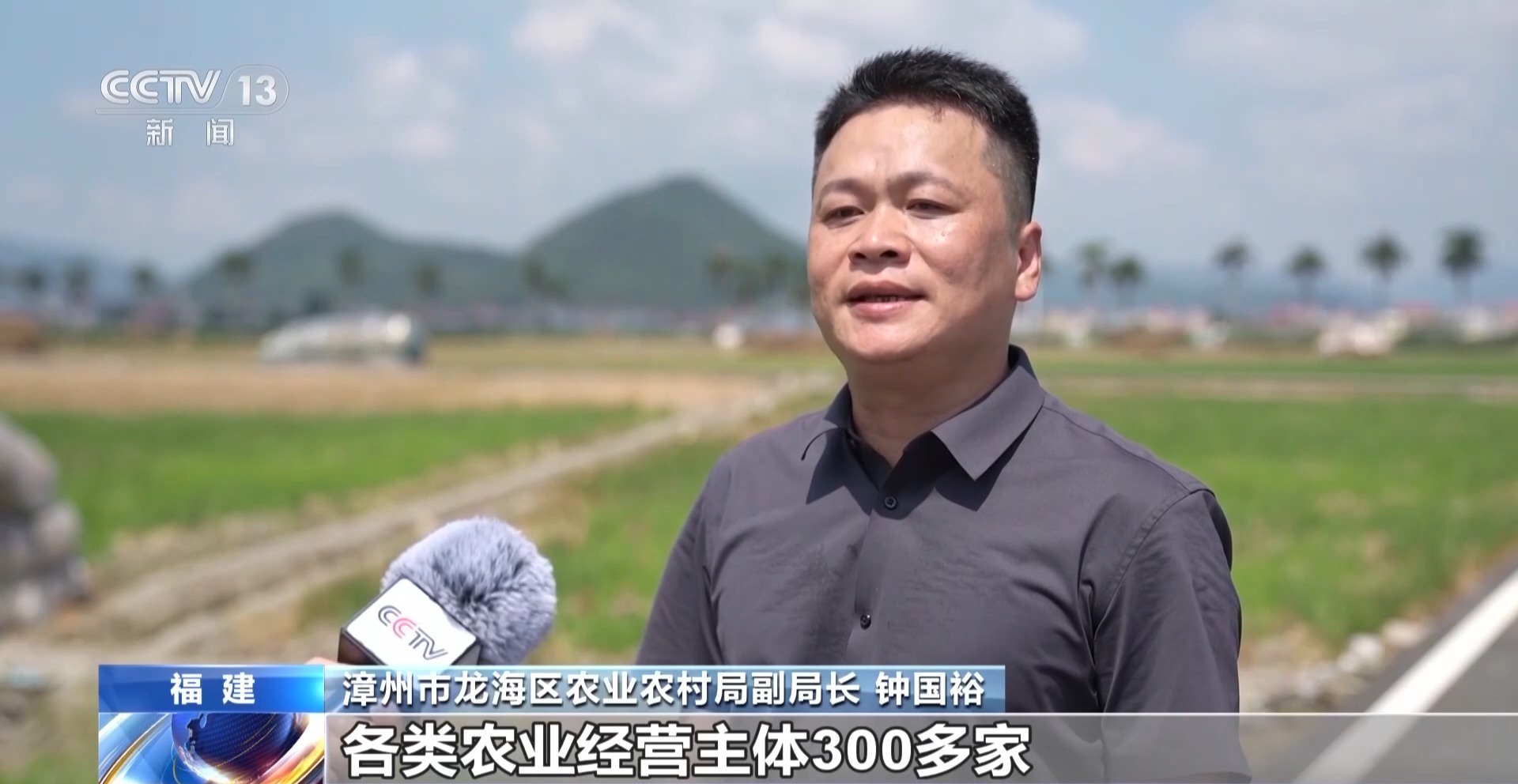 球盟会中国股份有限公司年中经济观察丨以河溪流域为脉打造乡村振兴示范片区(图6)