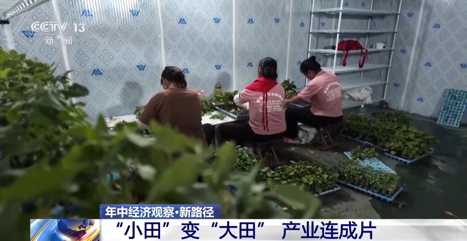球盟会中国股份有限公司年中经济观察丨以河溪流域为脉打造乡村振兴示范片区(图5)