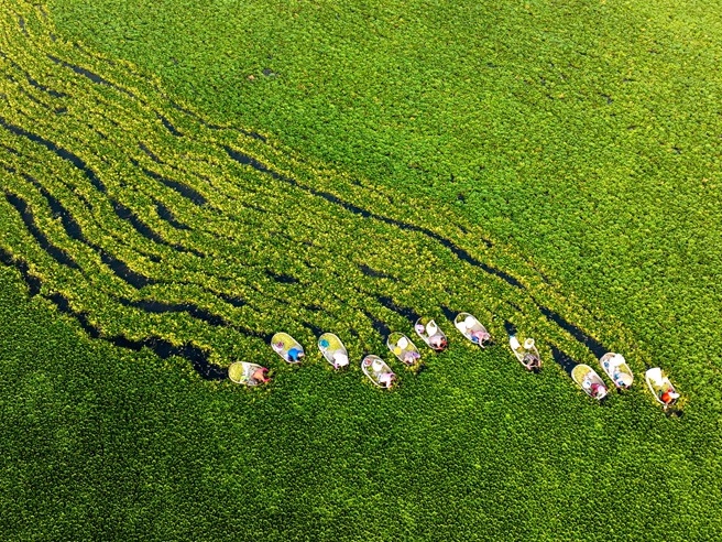 田间地头收获忙